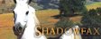 Shadowfax_button.jpg
